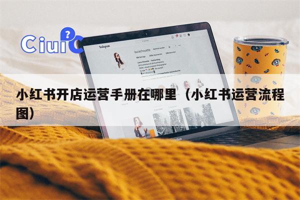 小红书开店运营手册在哪里（小红书运营流程图）