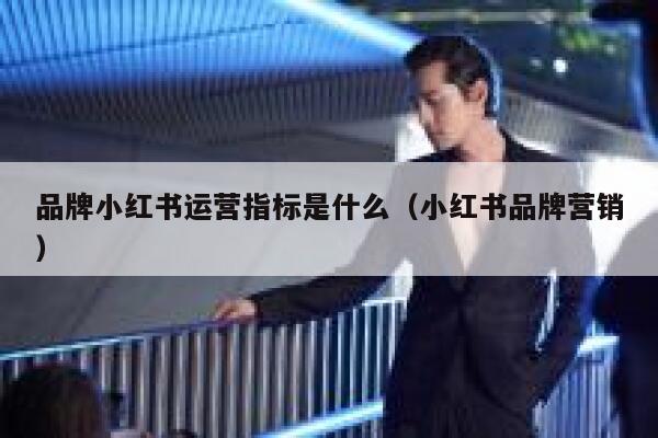 品牌小红书运营指标是什么（小红书品牌营销）