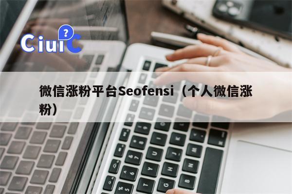 微信涨粉平台Seofensi（个人微信涨粉）