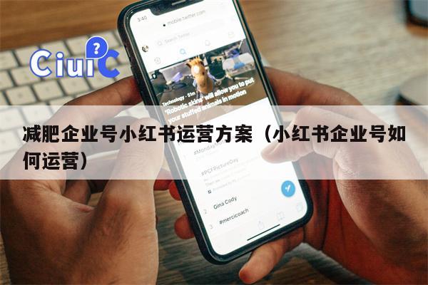 减肥企业号小红书运营方案（小红书企业号如何运营）