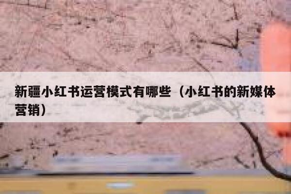 新疆小红书运营模式有哪些（小红书的新媒体营销）