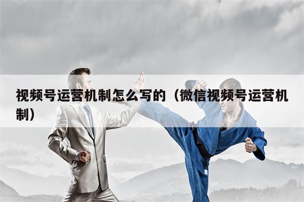 视频号运营机制怎么写的（微信视频号运营机制）