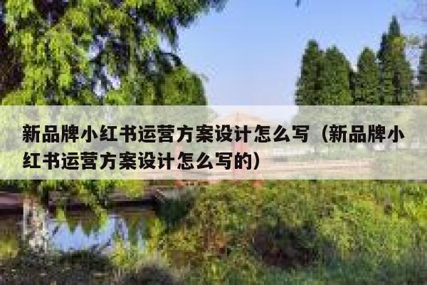新品牌小红书运营方案设计怎么写（新品牌小红书运营方案设计怎么写的）
