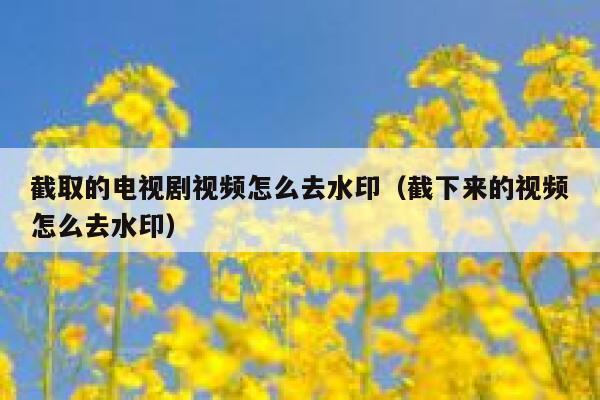截取的电视剧视频怎么去水印（截下来的视频怎么去水印）