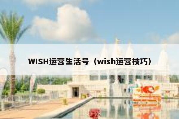 WISH运营生活号（wish运营技巧）