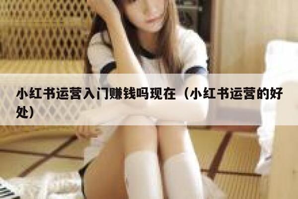 小红书运营入门赚钱吗现在（小红书运营的好处）