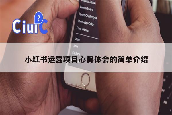 小红书运营项目心得体会的简单介绍