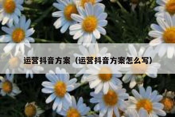 运营抖音方案（运营抖音方案怎么写）