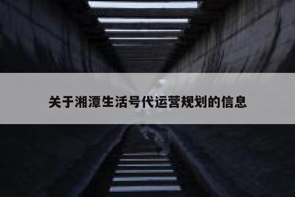 关于湘潭生活号代运营规划的信息