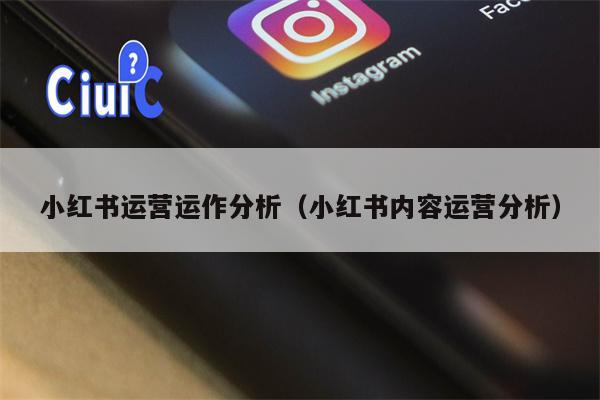 小红书运营运作分析（小红书内容运营分析）