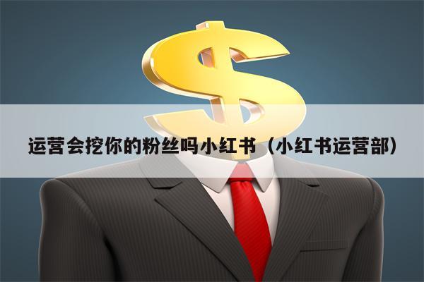 运营会挖你的粉丝吗小红书（小红书运营部）