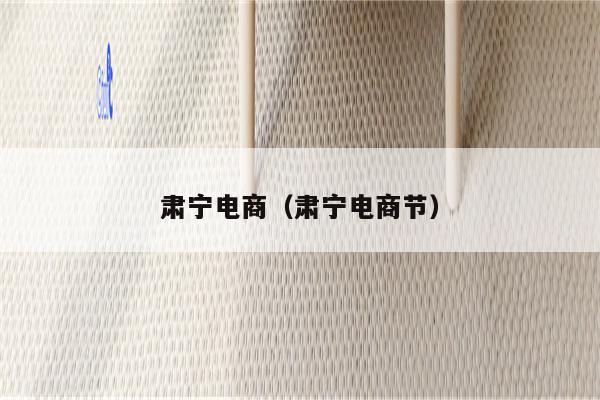 肃宁电商（肃宁电商节）