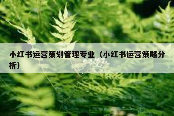 小红书运营策划管理专业（小红书运营策略分析）