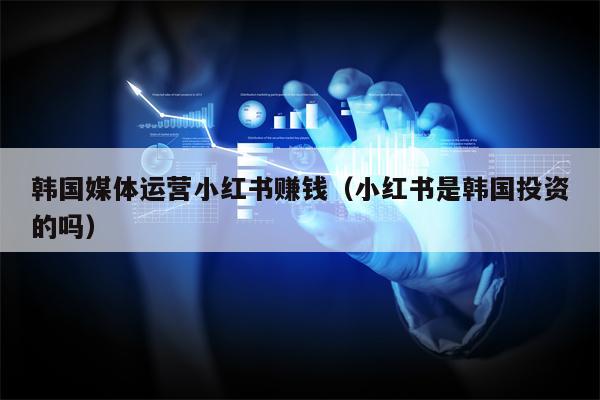 韩国媒体运营小红书赚钱（小红书是韩国投资的吗）