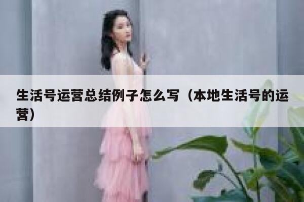 生活号运营总结例子怎么写（本地生活号的运营）