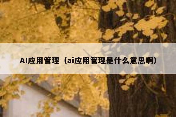 AI应用管理（ai应用管理是什么意思啊）