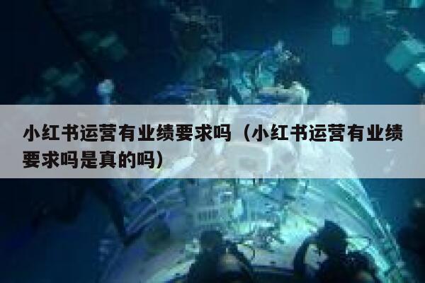 小红书运营有业绩要求吗（小红书运营有业绩要求吗是真的吗）