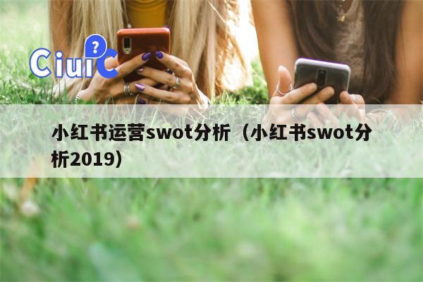 小红书运营swot分析（小红书swot分析2019）