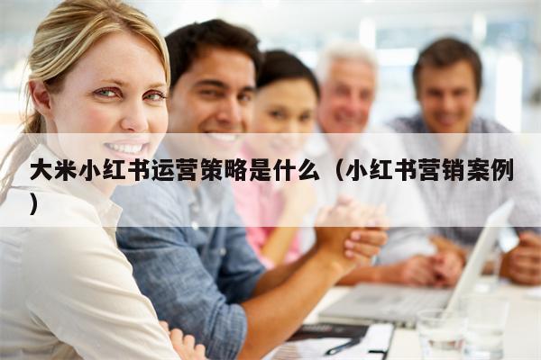 大米小红书运营策略是什么（小红书营销案例）