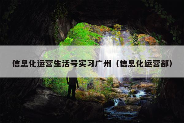 信息化运营生活号实习广州（信息化运营部）