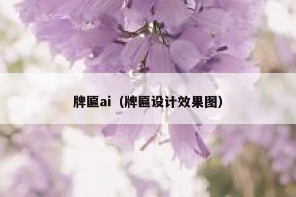 牌匾ai（牌匾设计效果图）