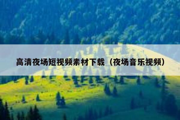 高清夜场短视频素材下载（夜场音乐视频）