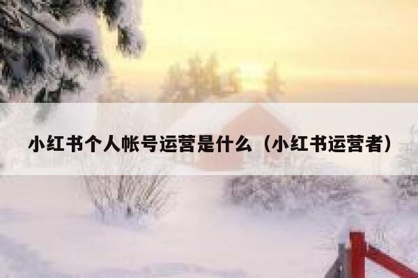 小红书个人帐号运营是什么（小红书运营者）