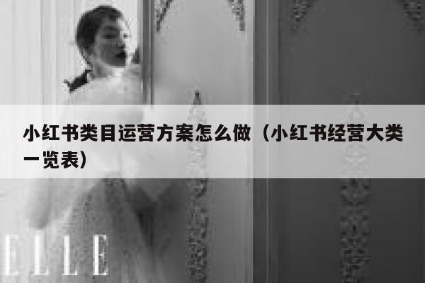 小红书类目运营方案怎么做（小红书经营大类一览表）