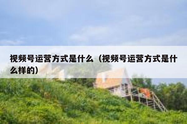 视频号运营方式是什么（视频号运营方式是什么样的）