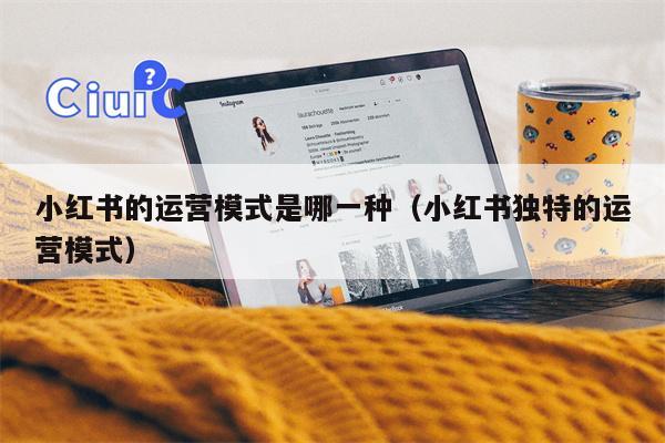 小红书的运营模式是哪一种（小红书独特的运营模式）
