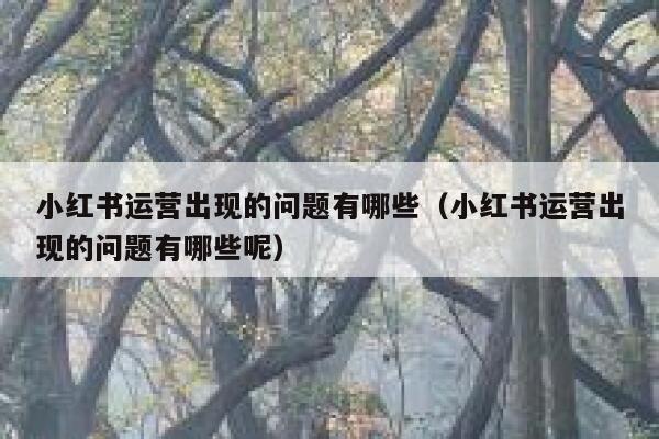 小红书运营出现的问题有哪些（小红书运营出现的问题有哪些呢）