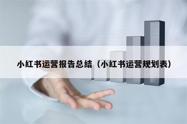 小红书运营报告总结（小红书运营规划表）