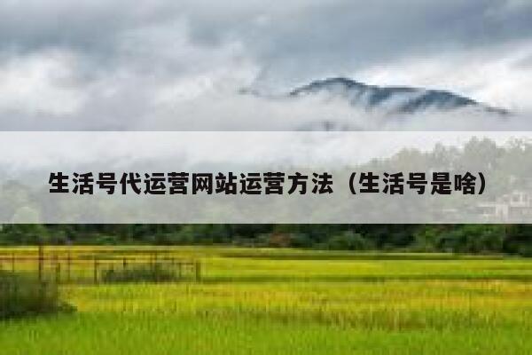 生活号代运营网站运营方法（生活号是啥）