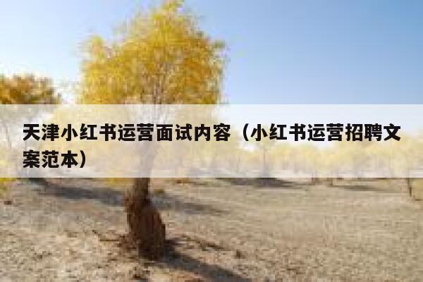 天津小红书运营面试内容（小红书运营招聘文案范本）