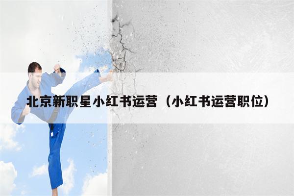 北京新职星小红书运营（小红书运营职位）