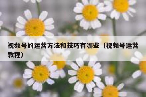 视频号的运营方法和技巧有哪些（视频号运营教程）