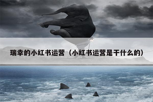 瑞幸的小红书运营（小红书运营是干什么的）