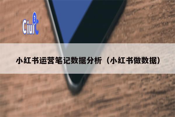 小红书运营笔记数据分析（小红书做数据）