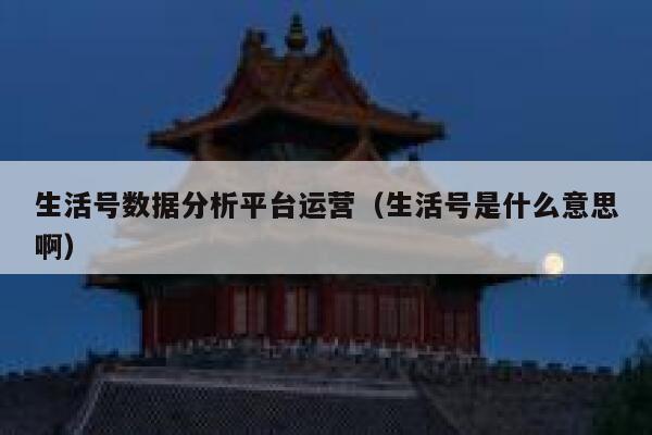 生活号数据分析平台运营（生活号是什么意思啊）