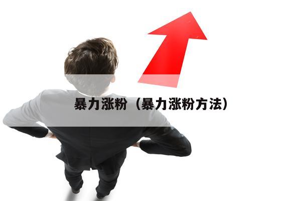 暴力涨粉（暴力涨粉方法）