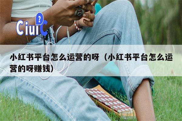 小红书平台怎么运营的呀（小红书平台怎么运营的呀赚钱）