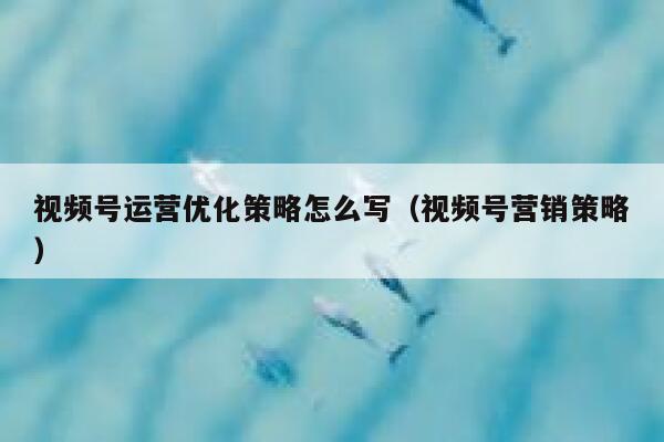 视频号运营优化策略怎么写（视频号营销策略）