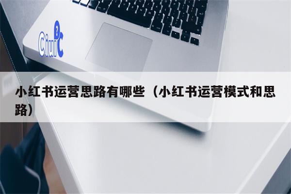 小红书运营思路有哪些（小红书运营模式和思路）