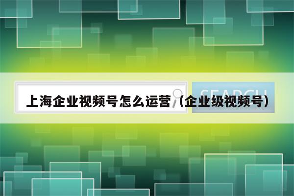 上海企业视频号怎么运营（企业级视频号）