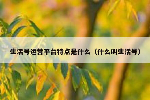 生活号运营平台特点是什么（什么叫生活号）