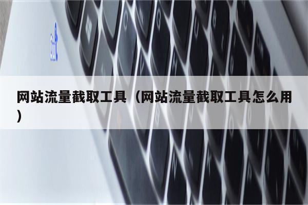 网站流量截取工具（网站流量截取工具怎么用）