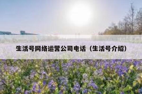 生活号网络运营公司电话（生活号介绍）