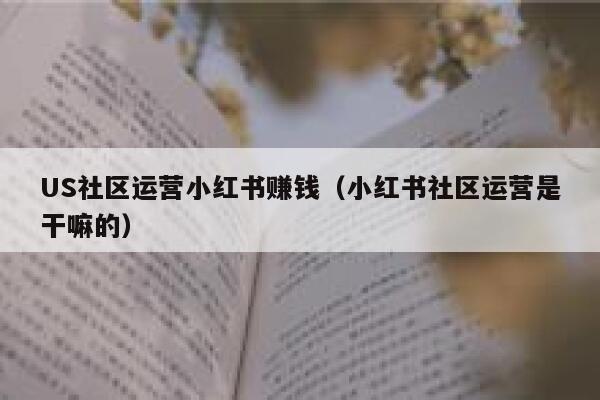 US社区运营小红书赚钱（小红书社区运营是干嘛的）