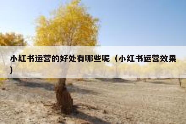 小红书运营的好处有哪些呢（小红书运营效果）