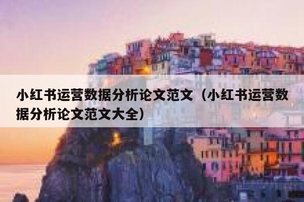 小红书运营数据分析论文范文（小红书运营数据分析论文范文大全）